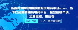 俄罗斯跨境电商平台ozon运营，包含店铺申请，运营思路，售后等