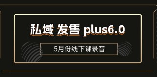 私域发售plus6.0【5月份线下课录音】/全域套装sop流程包，社群发售工具套装模型