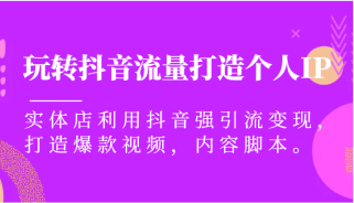 玩转抖音流量打造个人IP，实体店利用抖音强引流变现，打造爆款视频，内容脚本