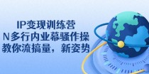 IP变现训练营：N多行内业幕骚作操，教你流搞量，新姿势！