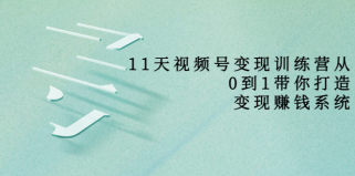 11天视频号变现训练营，从0到1打造变现赚钱系统（价值398元