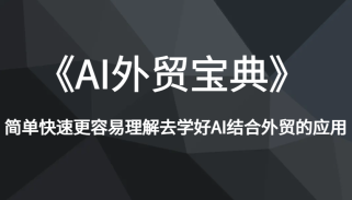 《AI外贸宝典》简单快速更容易理解去学好AI结合外贸的应用