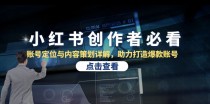 小红书创作者必看：账号定位与内容策划详解，助力打造爆款账号