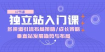 独立站入门课：多渠道引流布局策略/成长策略/垂直站发展趋势与布局