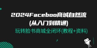 2024Facebook 商城自然流(从入门到精通)，玩转脸书商城全闭环(教程+资料)