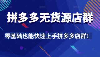 拼多多无货源店群，全程精细化讲解，实操教学，零基础也能快速上手拼多多店群