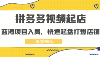 拼多多视频起店，实现蓝海项目入局，快速起盘打爆店铺（价值299元）