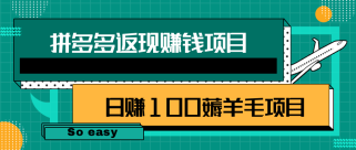 拼多多返现赚钱项目，简单操作轻松日赚100+薅羊毛项目【视频教程】