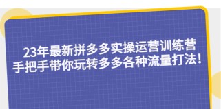 最新拼多多实操运营训练营：手把手带你玩转多多各种流量打法