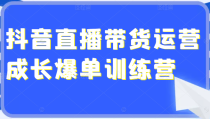 超详细的抖音直播带货运营成长爆单训练营，手把手教你玩转直播带货（价值4980元）