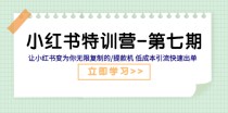 小红书特训营-第七期让小红书变为你无限复制的提款机低成本引流快速出单