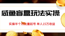 独家首发咸鱼盲盒玩法实操，半个月批量起号单人15万收益揭秘