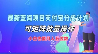 最新蓝海项目支付宝分成计划，可矩阵批量操作，小白也能月入五位数