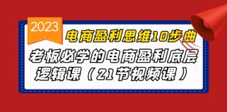 电商盈利-思维10步曲，老板必学的电商盈利底层逻辑课（21节视频课）