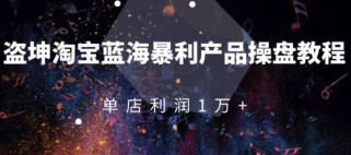 淘宝蓝海暴利产品操盘教程：从零到单店利润10000+详细实操