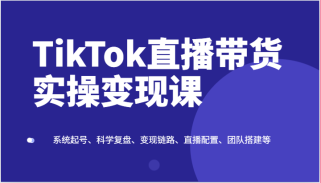 TikTok直播带货实操变现课：系统起号、科学复盘、变现链路、直播配置、团队搭建等