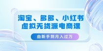 淘宝、多多、小红书-虚拟无货源电商课：由新手到月入过万（3套课程）  