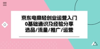 京东电商轻创业运营入门0基础通识及经验分享：选品/流量/推广/运营