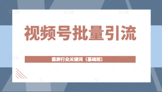 视频号批量引流，霸屏行业关键词（基础班）全面系统讲解视频号玩法