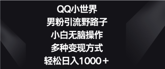 QQ小世界男粉引流野路子，小白无脑操作，多种变现方式轻松日入1000＋