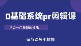 短视频0基础系统pr剪辑课：学会一门赚钱的技能，每节课短小精悍