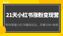 21天小红书涨粉变现营（第4期）：带你掌握小红书爆款玩法，月赚10W+秘密