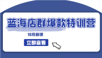 蓝海店群爆款特训营(10月新课) 低成本起店、小爆款打造、群爆款维护 精细化选品