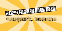 2024视频号训练营，视频号爆款打造，如何变现教程（20节课）