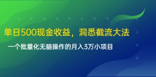 单日500现金收益，洞悉截流大法，一个批量化无脑操作的月入3万小项目