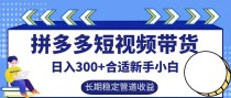 拼多多短视频带货日入300+，实操账户展示看就能学会