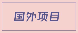 揭秘一个闷声赚钱的项目，国外网赚项目攻略及国外广告联盟赚钱流程详解