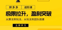 拼多多进阶课：极限拉升/盈利突破：从算法到玩法 从玩法到团队搭建（18节）