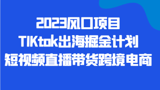 2023风口项目TIKtok出海掘金计划短视频直播带货跨境电商