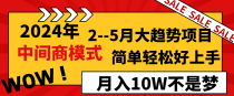 2024年2-5月大趋势项目，利用中间商模式，简单轻松好上手，月入10W不是梦