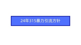 2024年自媒体爆款视频制作，快速涨粉暴力引流方针！