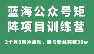 蓝海公众号矩阵项目训练营，2个月0粉冷启动，账号粉丝突破30w，价值1800元