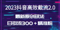 日引300＋创业粉，独家抖音高效截流2.0玩法（价值1280元）