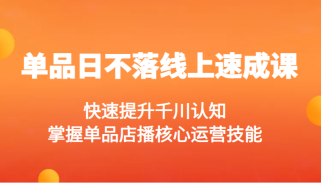 单品日不落线上速成课，快速提升千川认知，掌握单品店播核心运营技能