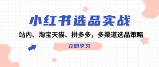 小红书选品实战：站内、淘宝天猫、拼多多，多渠道选品策略