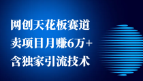 网创天花板赛道，卖项目月赚6万+，含独家引流技术（共26节课）