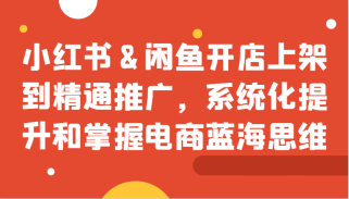 小红书与闲鱼开店上架到精通推广，系统化提升和掌握电商蓝海思维