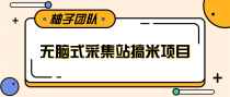 无脑式采集站搞米项目，零基础可批量实现年入百万