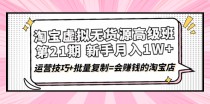 淘宝虚拟无货源高级班【第21期】月入1W+运营技巧+批量复制=会赚钱的淘宝店