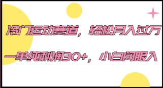 冷门运动赛道，轻松月入过万，一单纯利润30+，小白闭眼入。