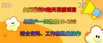 全网最新0撸天花板项目 单账户一天收益40-200 适合宝妈、工作室批量操作