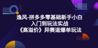 拼多多零基础新手小白入门到玩法实战《高溢价》异赛道爆单玩法实操课