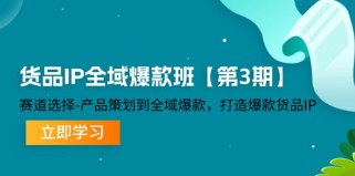 货品IP全域爆款班【第3期】赛道选择、产品策划到全域爆款，打造爆款货品IP