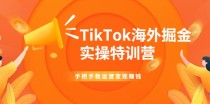 TikTok海外掘金实操特训营：手把手教运营变现赚钱【视频课程】