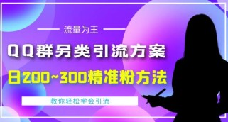  价值888的QQ群另类引流方案，半自动操作日200~300精准粉方法【视频教程】