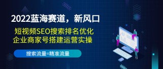 蓝海赛道，新风口：短视频SEO搜索排名优化+企业商家号搭建运营实操